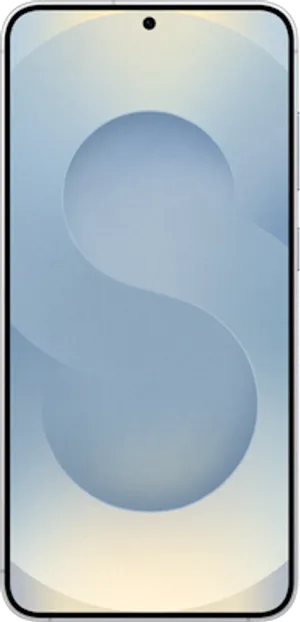 Samsung Galaxy S25+ Silver Shadow